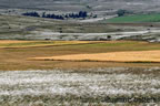 causse mejean